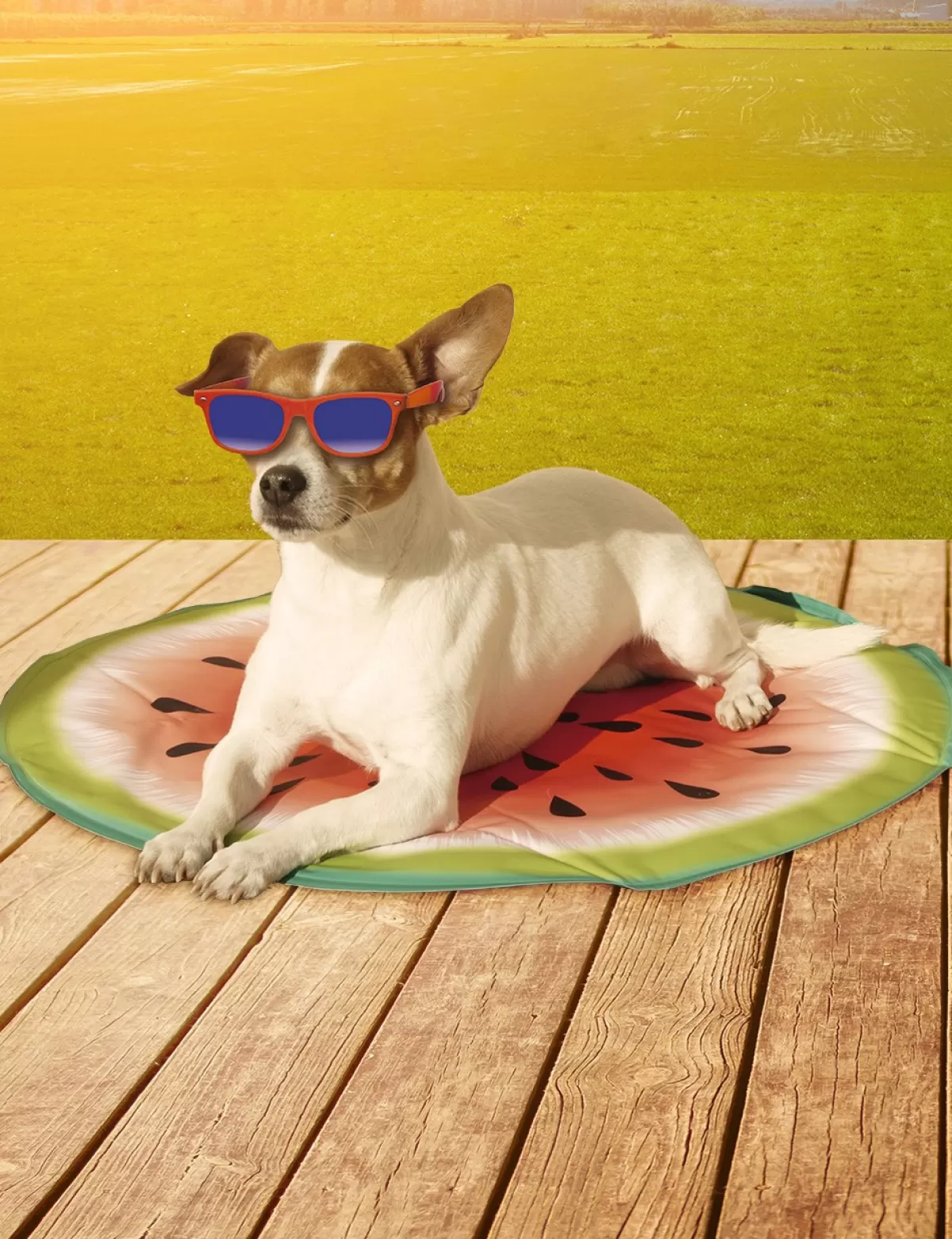 New Starlyf Kuhlmatte Für Tiere «Pet Cooling Mat», O 60 Cm