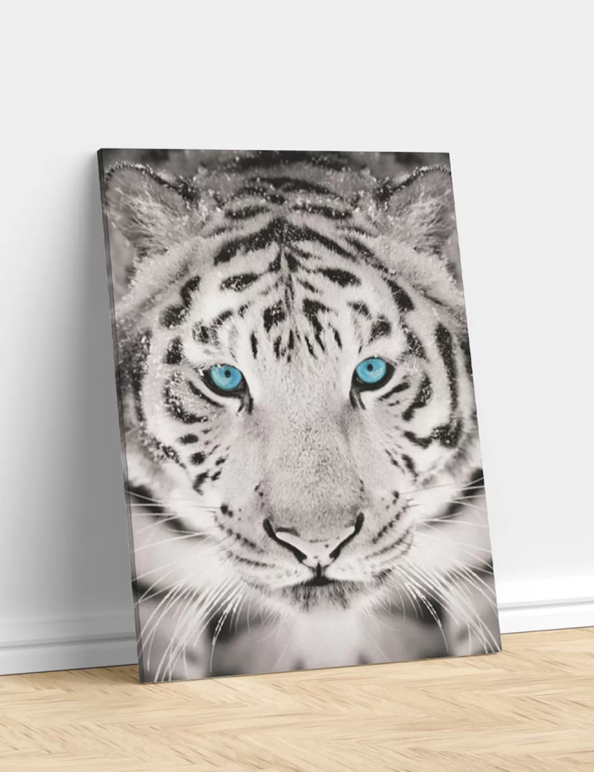 Store * Leinwandbild «Tiger», 50X70 Cm